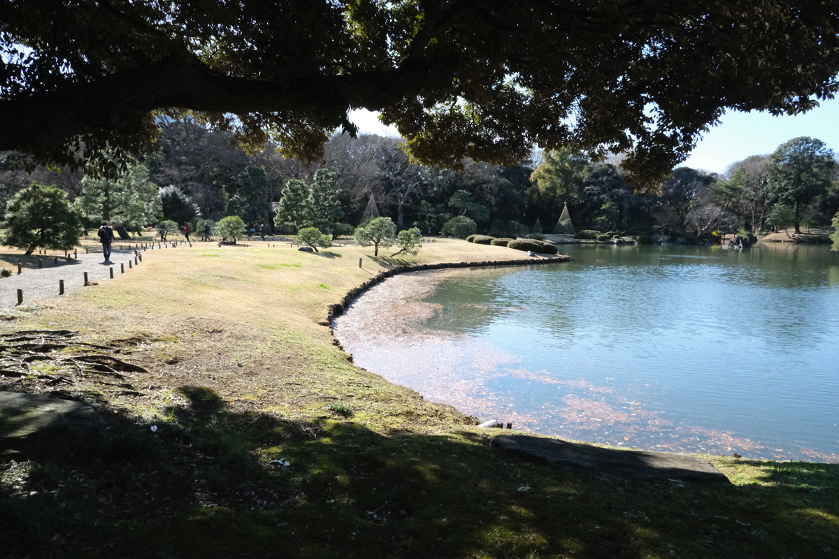 f:id:cosinon:20191229212901j:plain