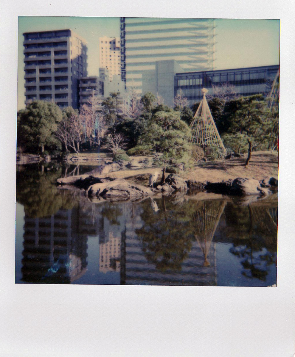 f:id:cosinon:20200110205002j:plain