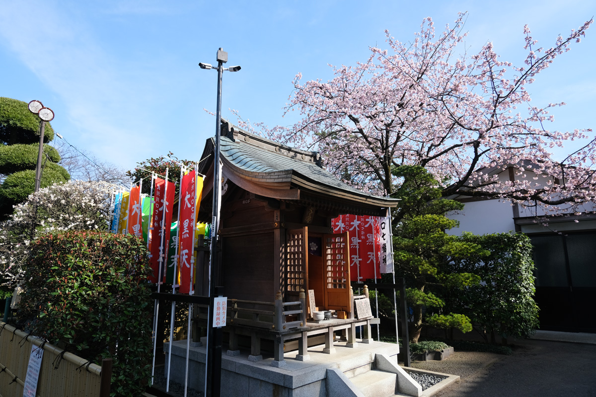 f:id:cosinon:20200303115841j:plain