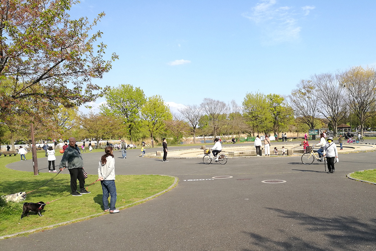 f:id:cosinon:20200413112127j:plain