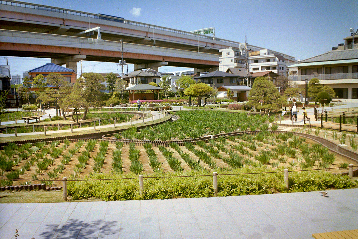 f:id:cosinon:20200424165916j:plain