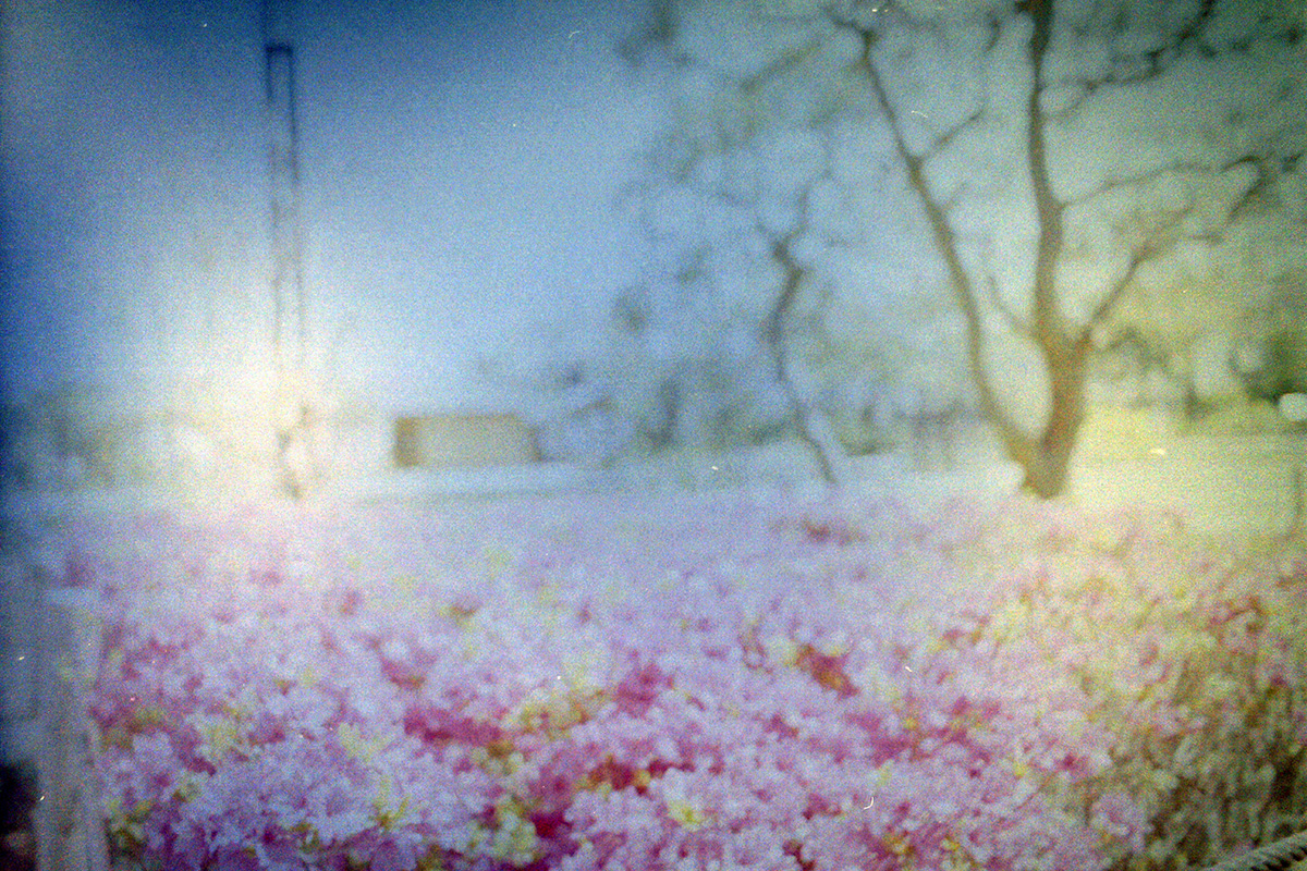 f:id:cosinon:20200424170040j:plain