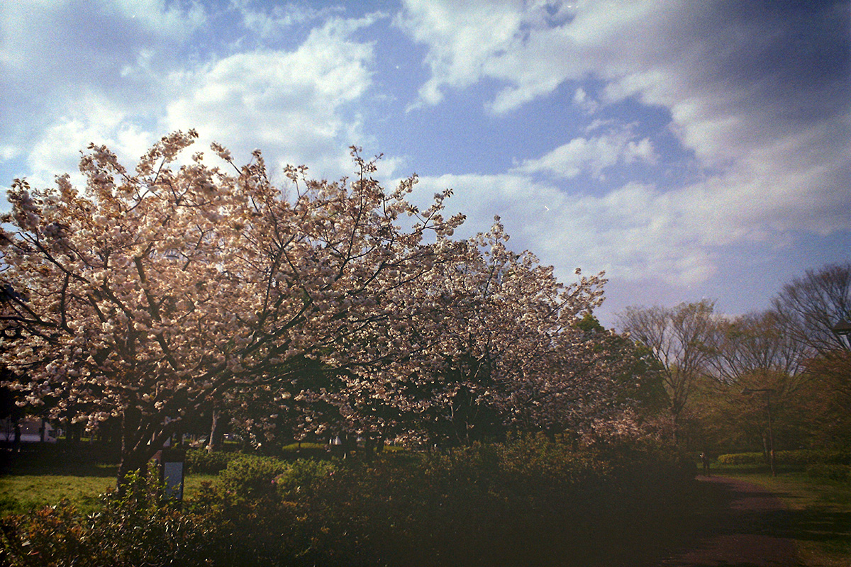 f:id:cosinon:20200424170101j:plain