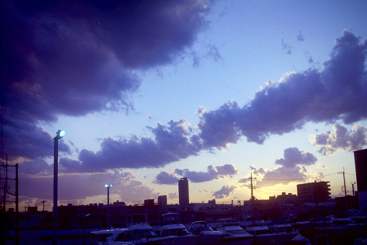 f:id:cosinon:20200428170440j:plain