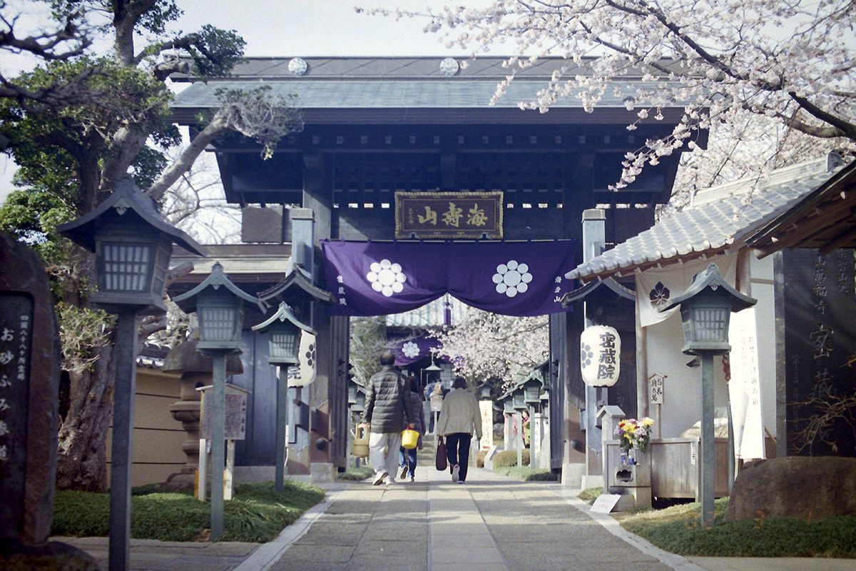 f:id:cosinon:20200430170931j:plain