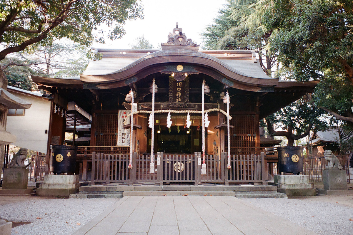 f:id:cosinon:20200601211816j:plain