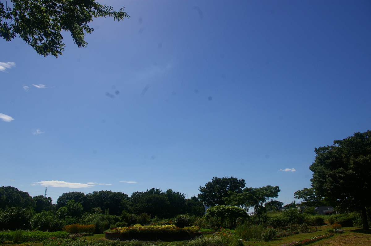 f:id:cosinon:20200812115930j:plain