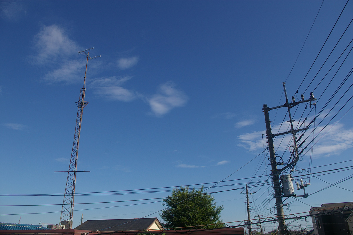 f:id:cosinon:20200812120137j:plain