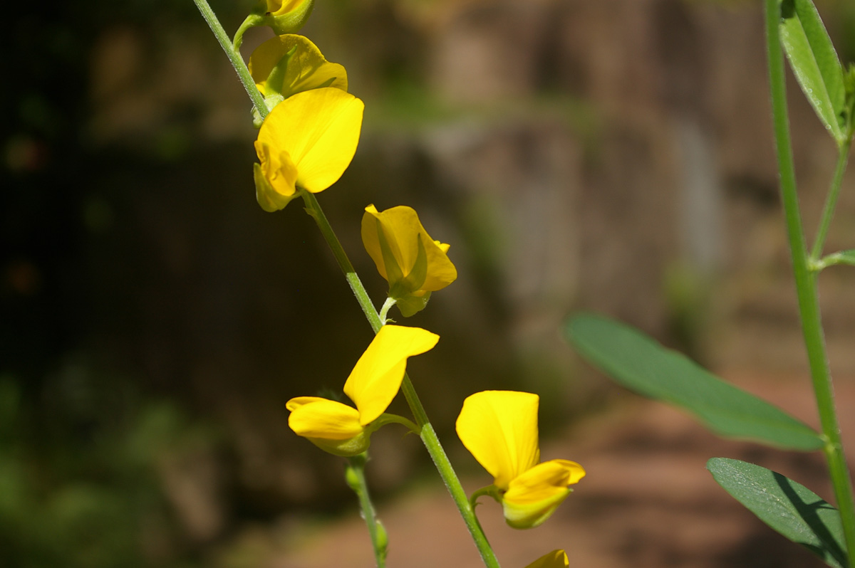 f:id:cosinon:20200814094822j:plain