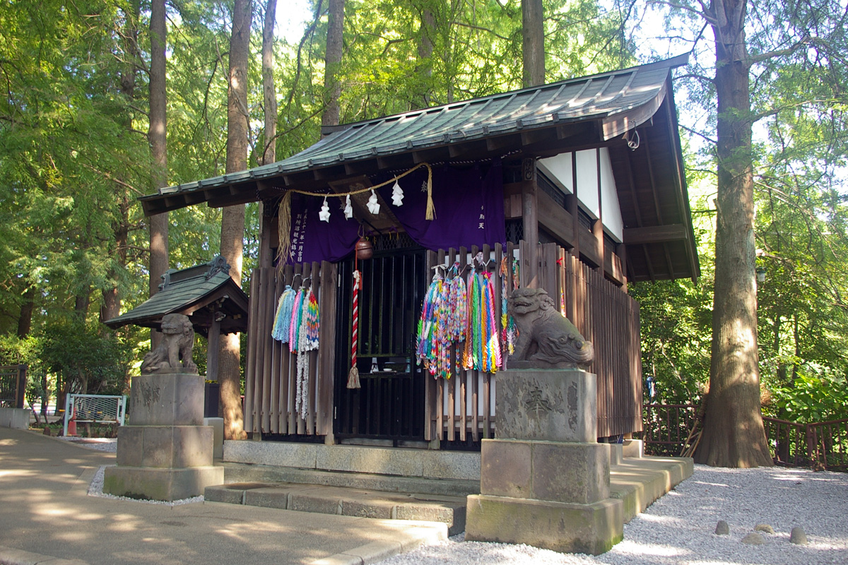 f:id:cosinon:20200816211103j:plain