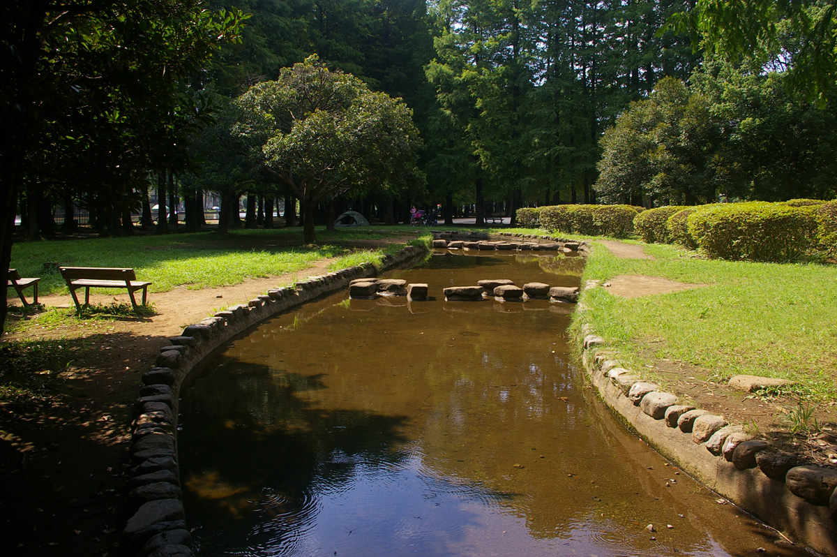f:id:cosinon:20200816211226j:plain