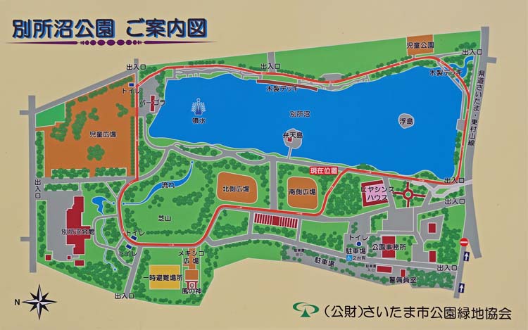 f:id:cosinon:20200817123713j:plain