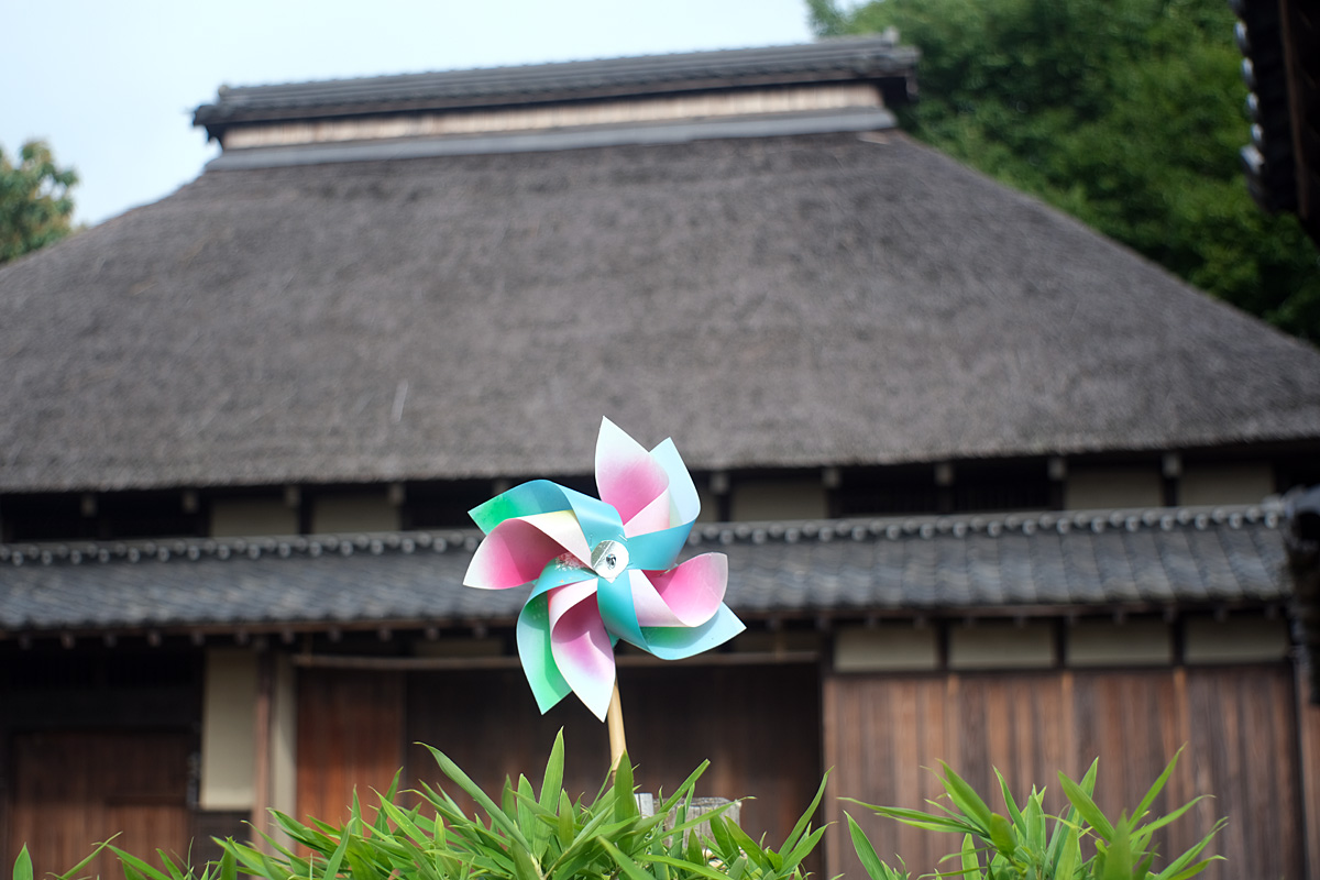 f:id:cosinon:20200823114249j:plain