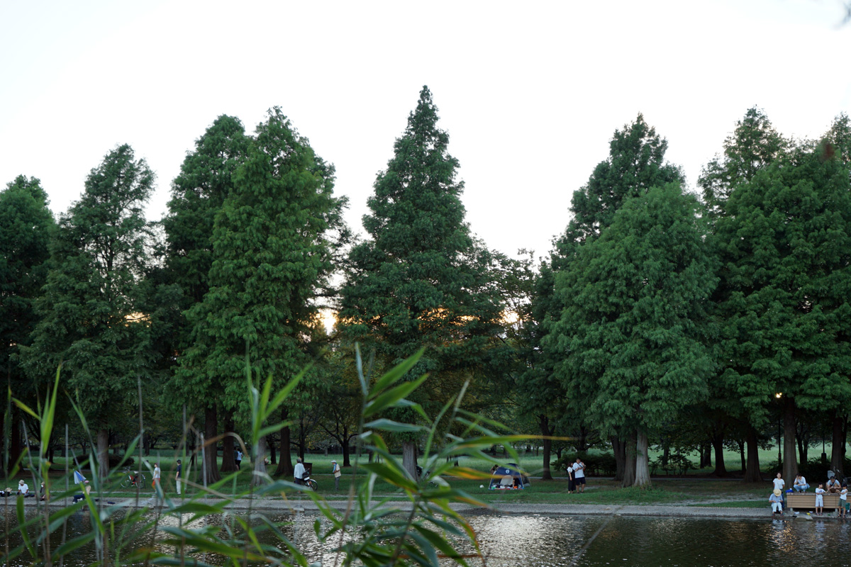 f:id:cosinon:20200830200020j:plain