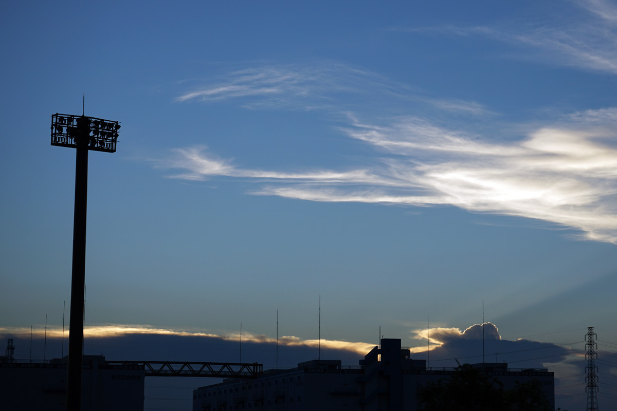 f:id:cosinon:20200830200048j:plain
