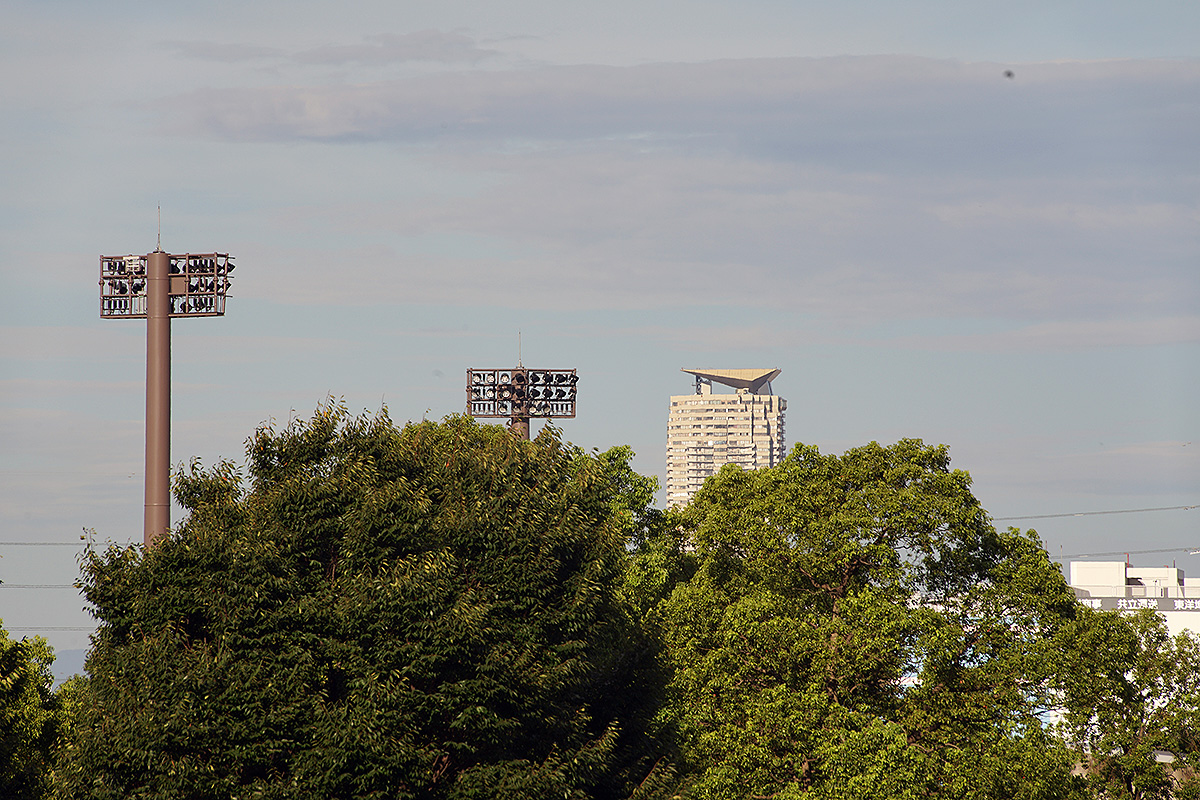 f:id:cosinon:20200904121154j:plain