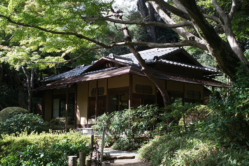 f:id:cosinon:20201019125038j:plain