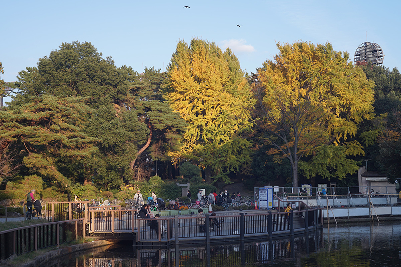 f:id:cosinon:20201116115511j:plain f:id:cosinon:20201116115511j:plain