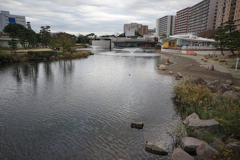 f:id:cosinon:20201125135405j:plain