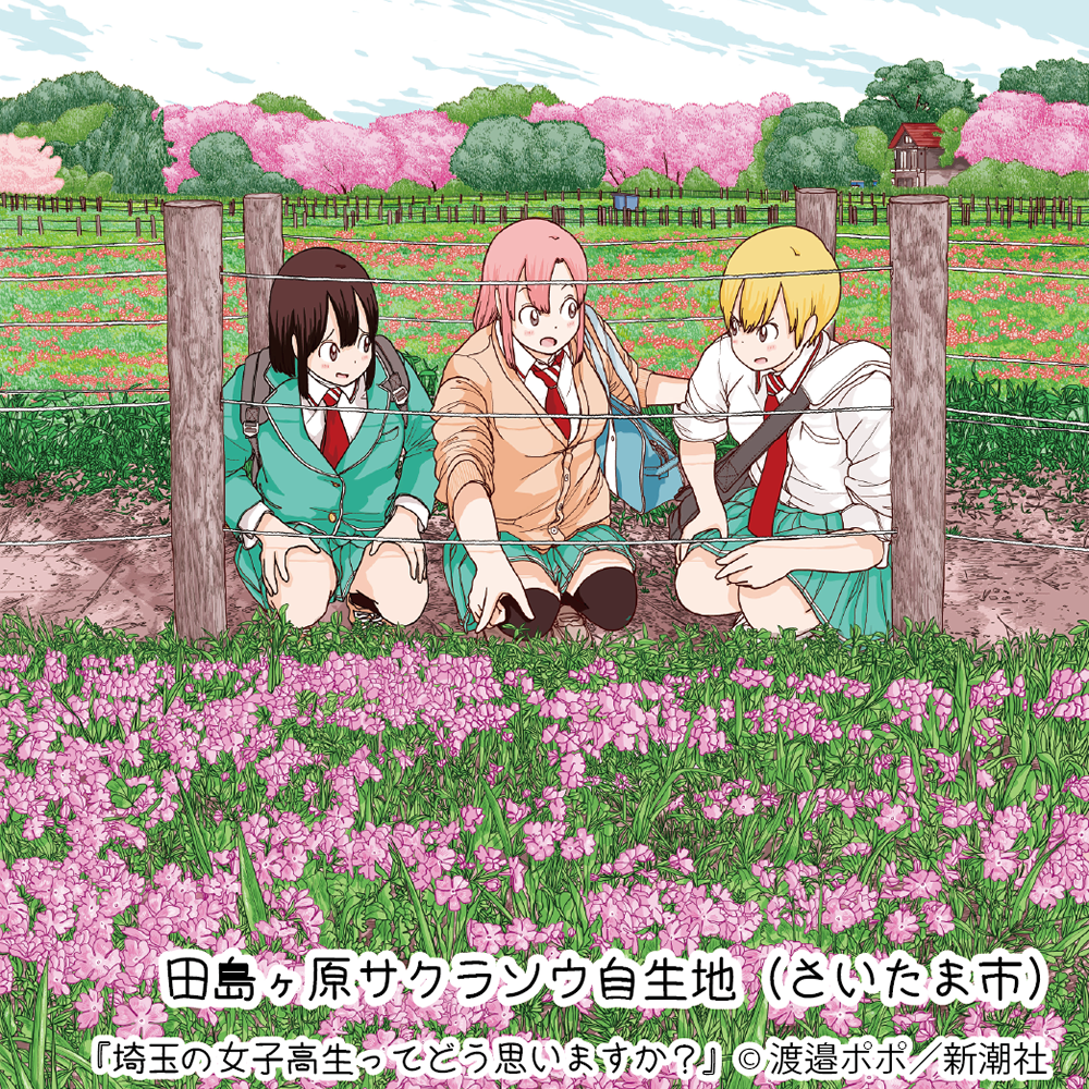 f:id:cosinon:20201130202203p:plain
