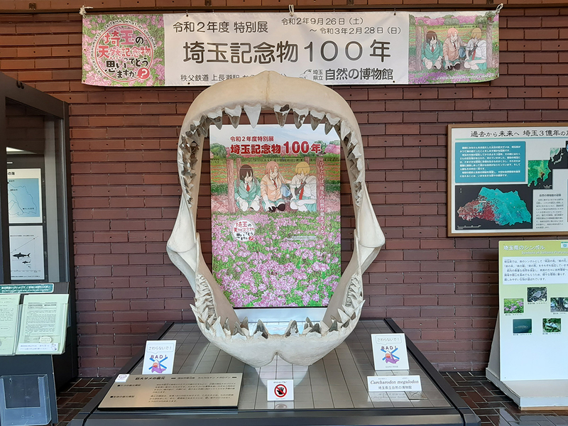 f:id:cosinon:20201201104037j:plain