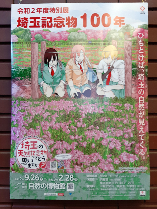f:id:cosinon:20201201104041j:plain