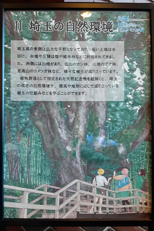 f:id:cosinon:20201201104103j:plain