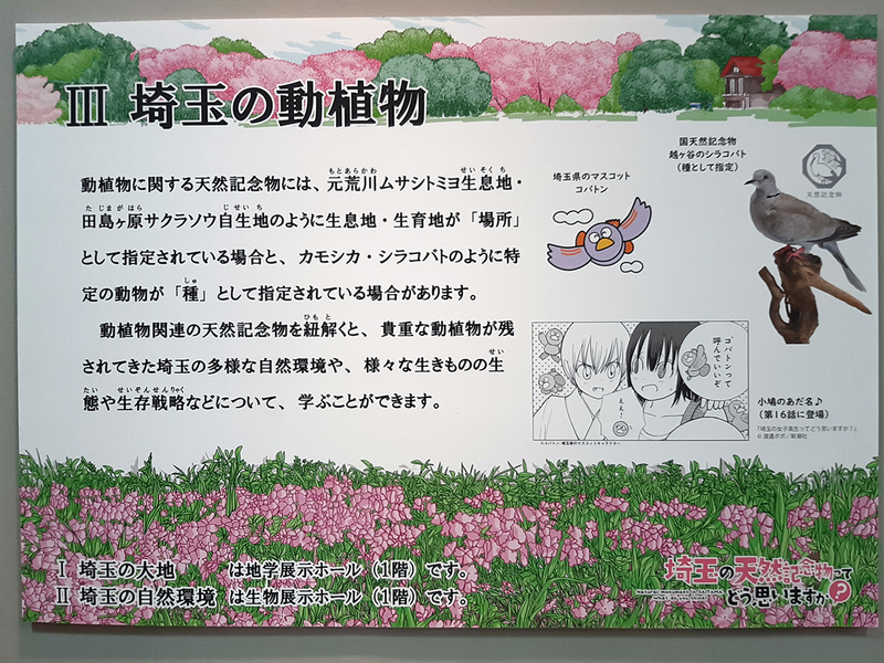 f:id:cosinon:20201201104109j:plain