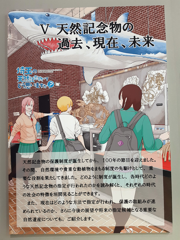 f:id:cosinon:20201201104118j:plain