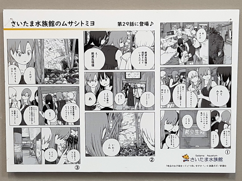 f:id:cosinon:20201201104127j:plain
