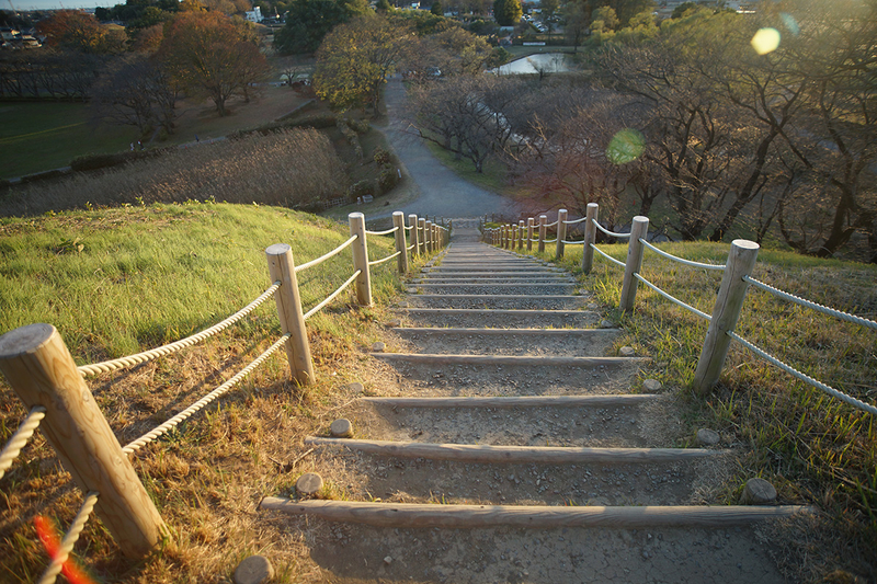 f:id:cosinon:20201201132633j:plain