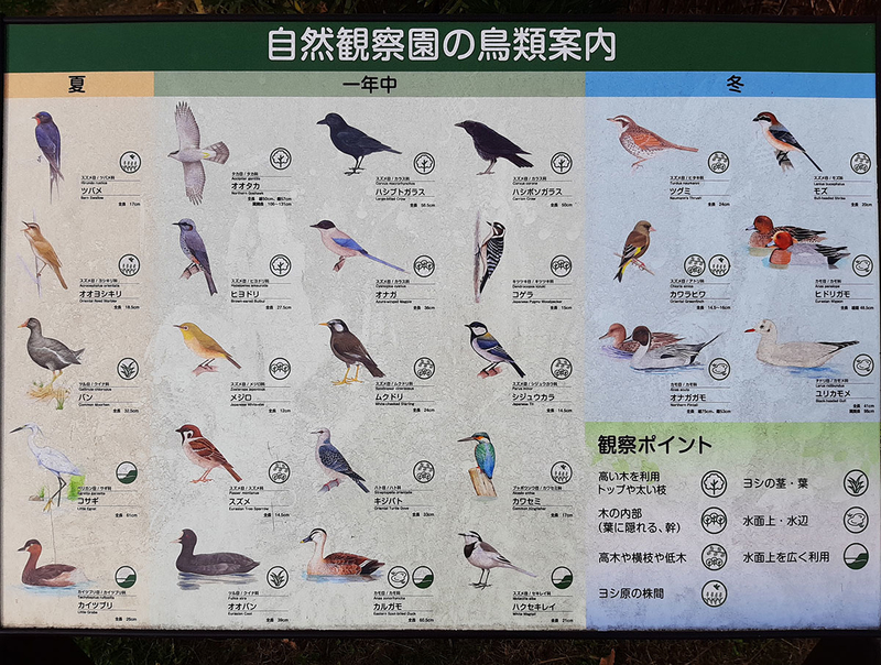 f:id:cosinon:20201214125910j:plain