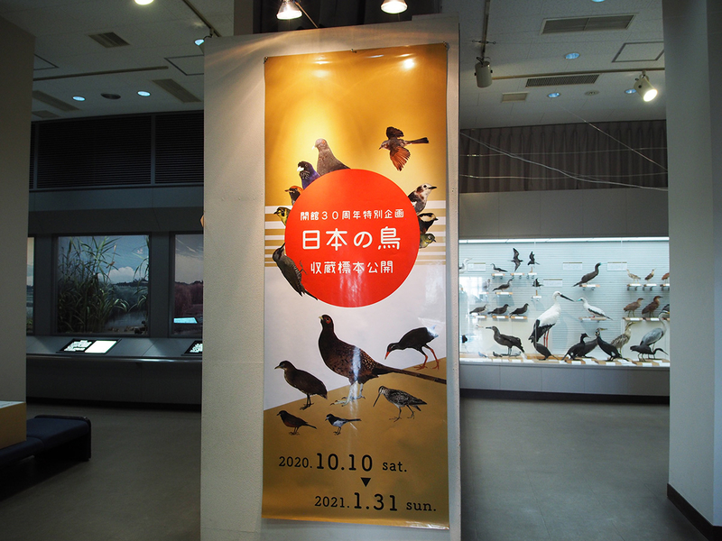 f:id:cosinon:20201222115140j:plain