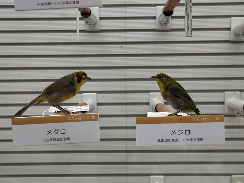f:id:cosinon:20201222115240j:plain