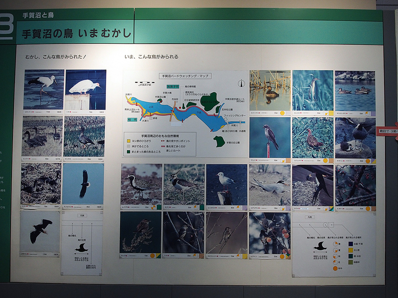 f:id:cosinon:20201222135108j:plain