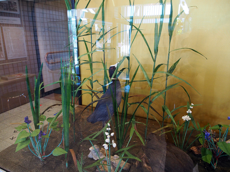 f:id:cosinon:20201222135119j:plain