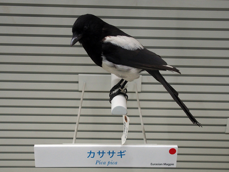 f:id:cosinon:20201222141107j:plain