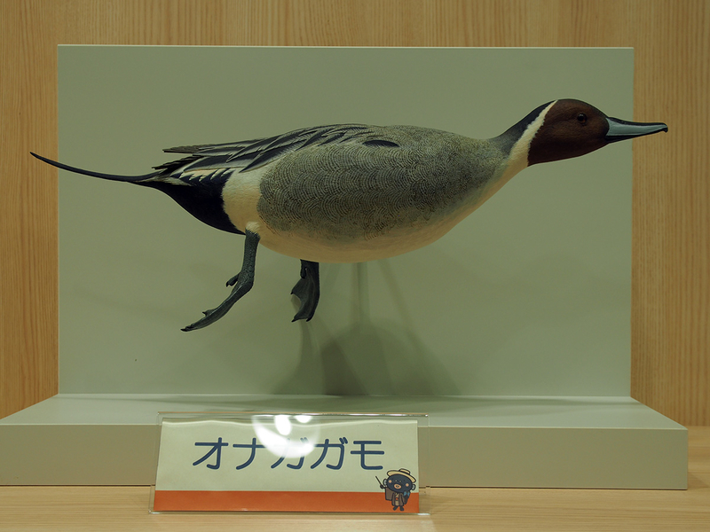 f:id:cosinon:20201222144959j:plain