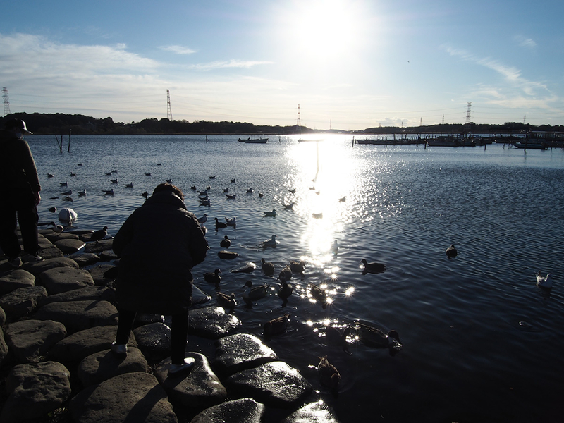f:id:cosinon:20201222153123j:plain