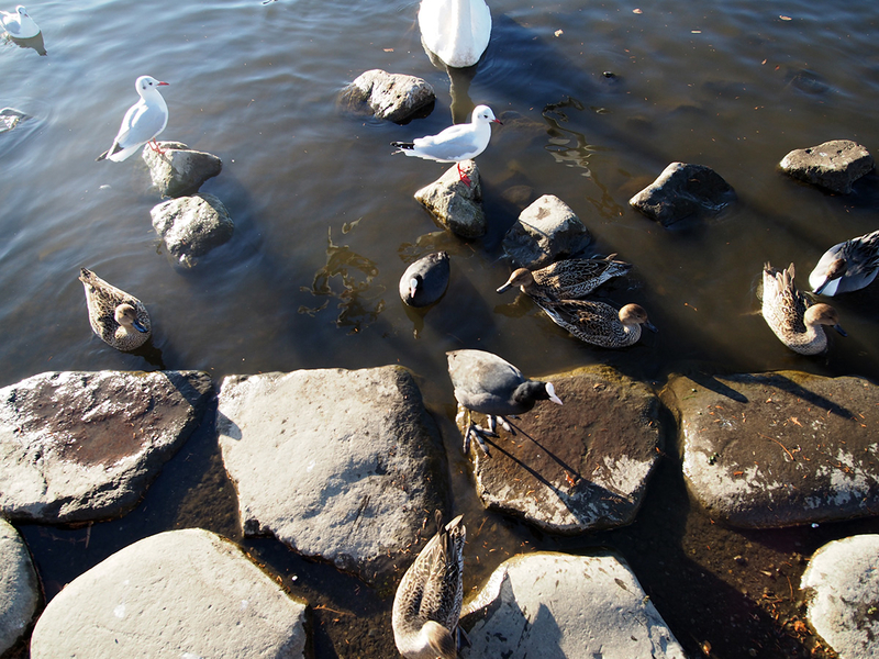 f:id:cosinon:20201222153203j:plain