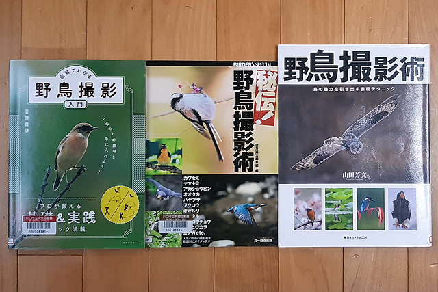 f:id:cosinon:20201228080108j:plain