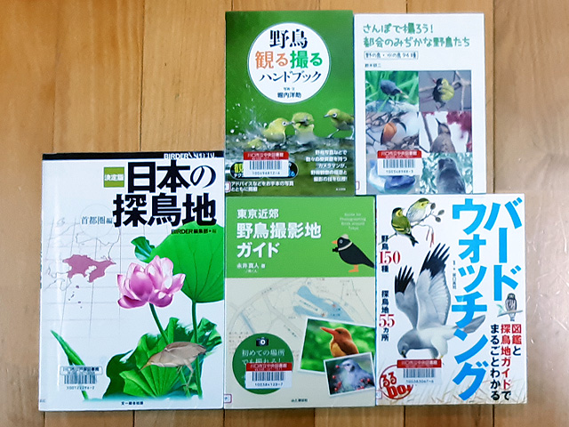 f:id:cosinon:20201228080137j:plain