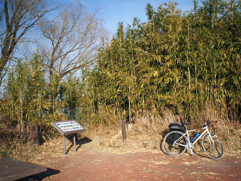f:id:cosinon:20201230120431p:plain