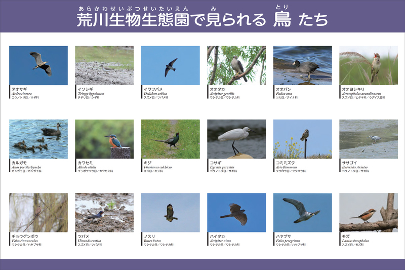 f:id:cosinon:20201230120551j:plain