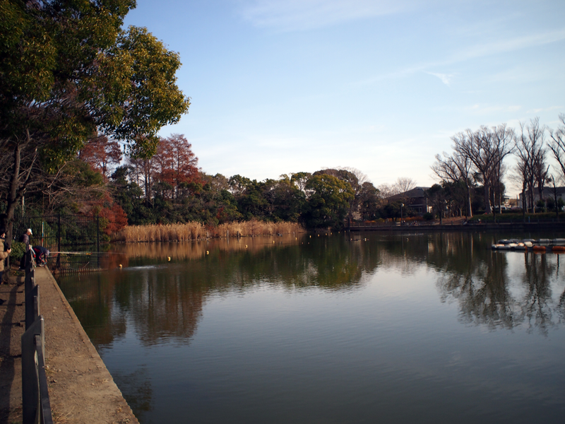 f:id:cosinon:20201230203151p:plain