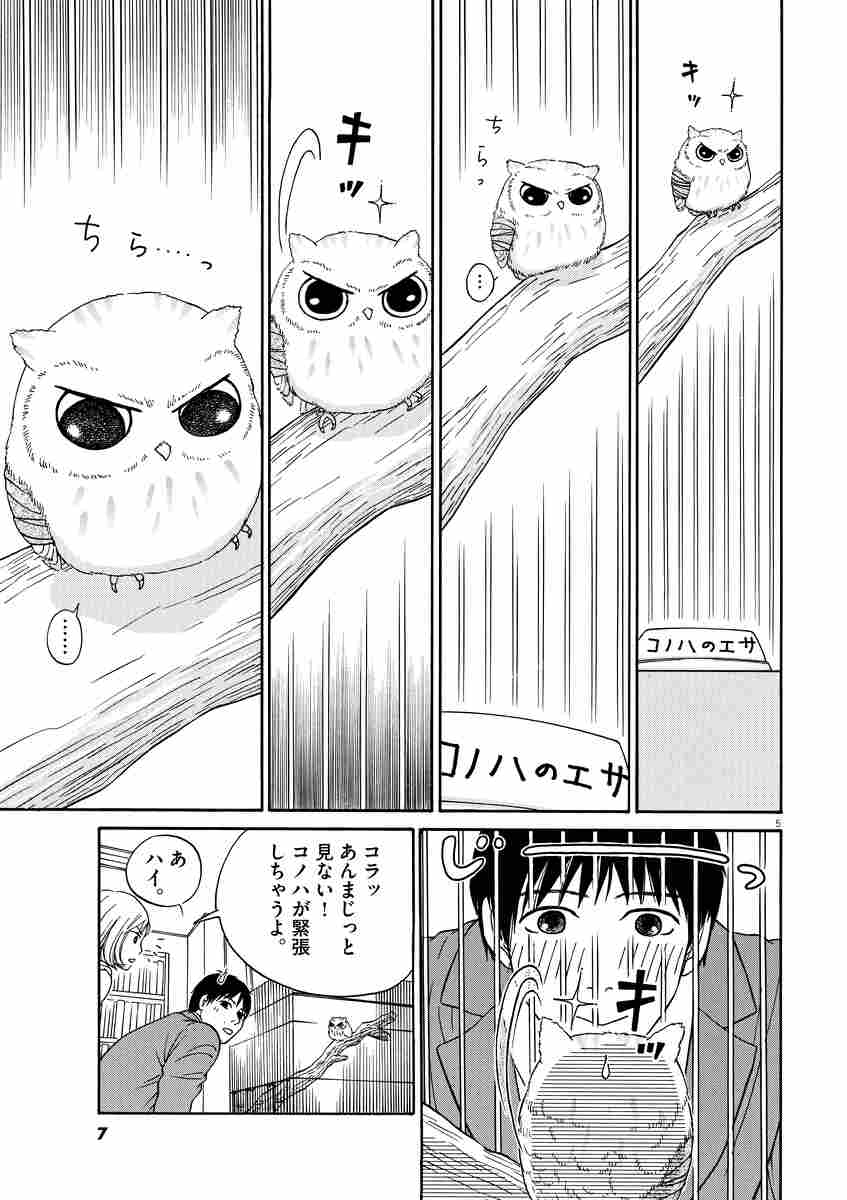 f:id:cosinon:20210113143220j:plain