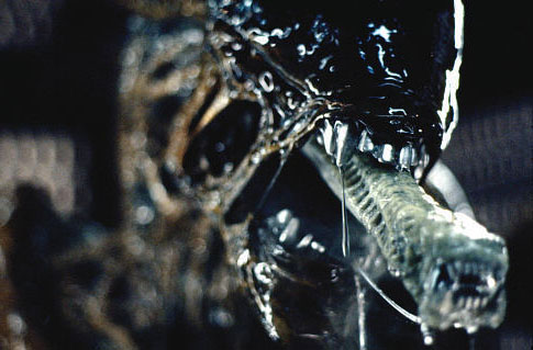 f:id:cosinon:20210120103623j:plain