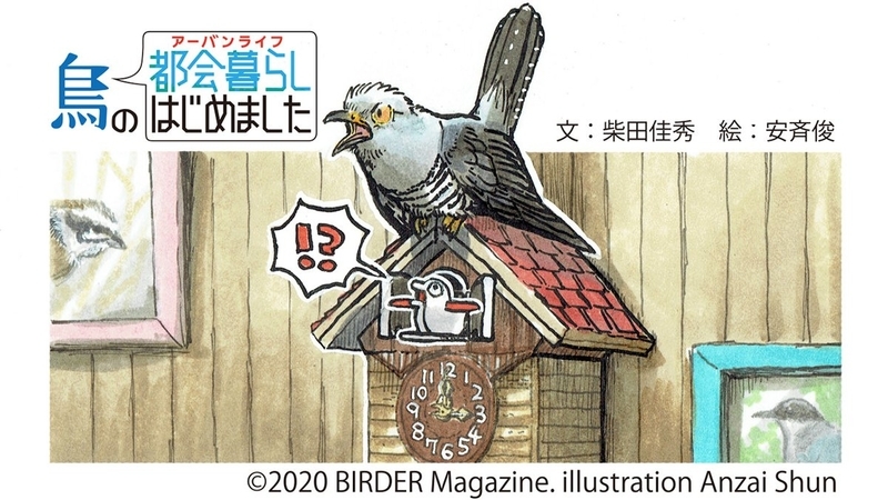 f:id:cosinon:20210122115049j:plain