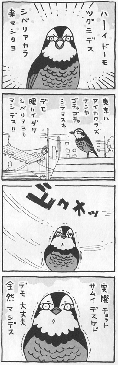 f:id:cosinon:20210123112930j:plain
