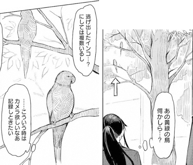f:id:cosinon:20210127115116p:plain